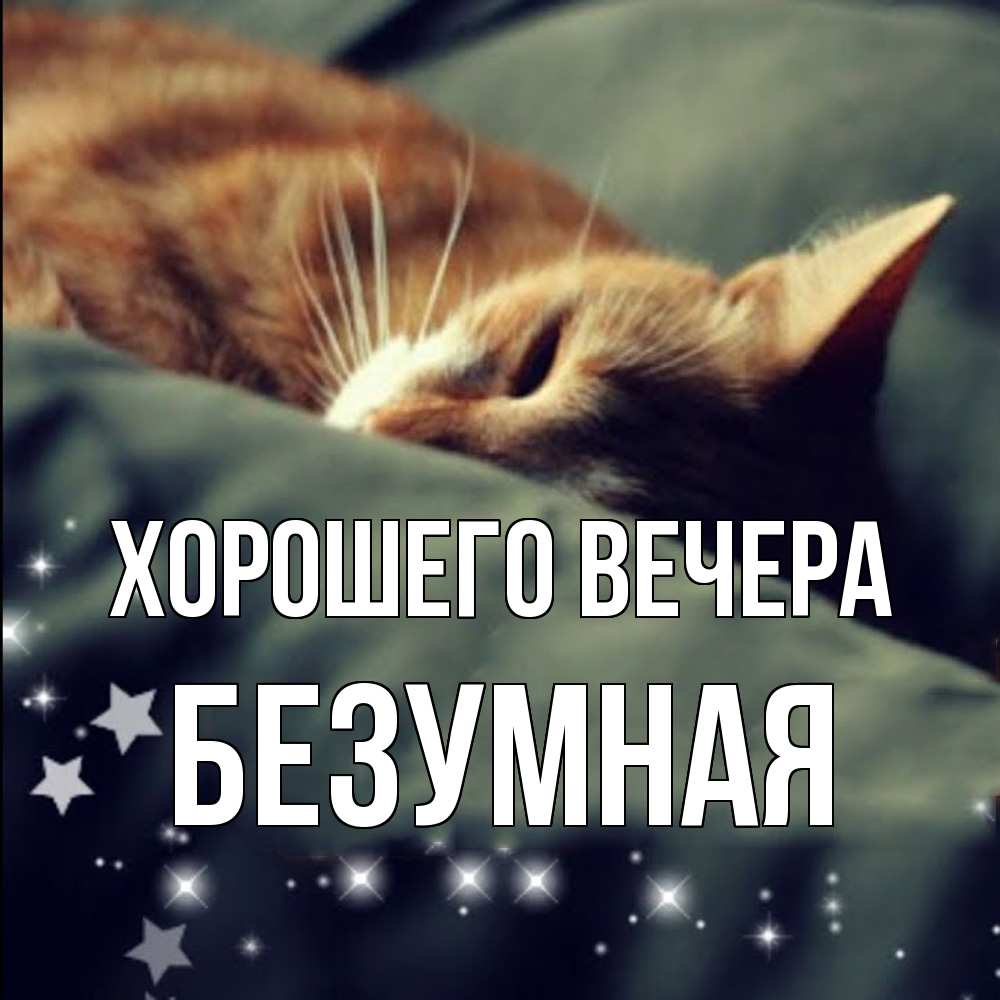 Открытка  для любимых и родных. безумная, Хорошего вечера  