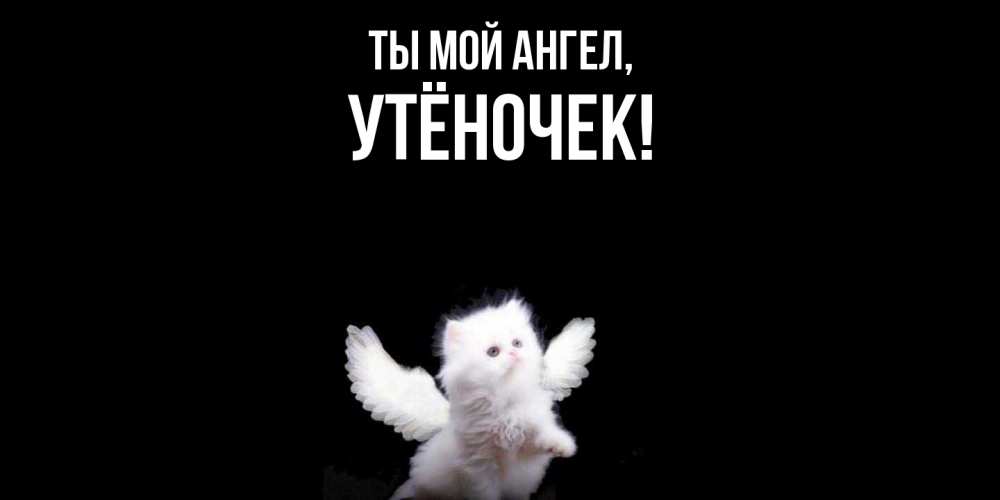 Картинка Ты мой ангел, утёночек