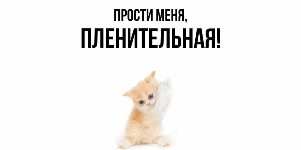 Открытка  для любимых и родных. пленительная, Прости меня  