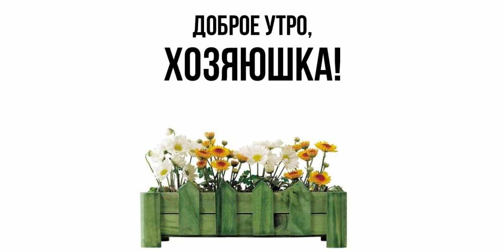 Картинка Доброе утро, хозяюшка