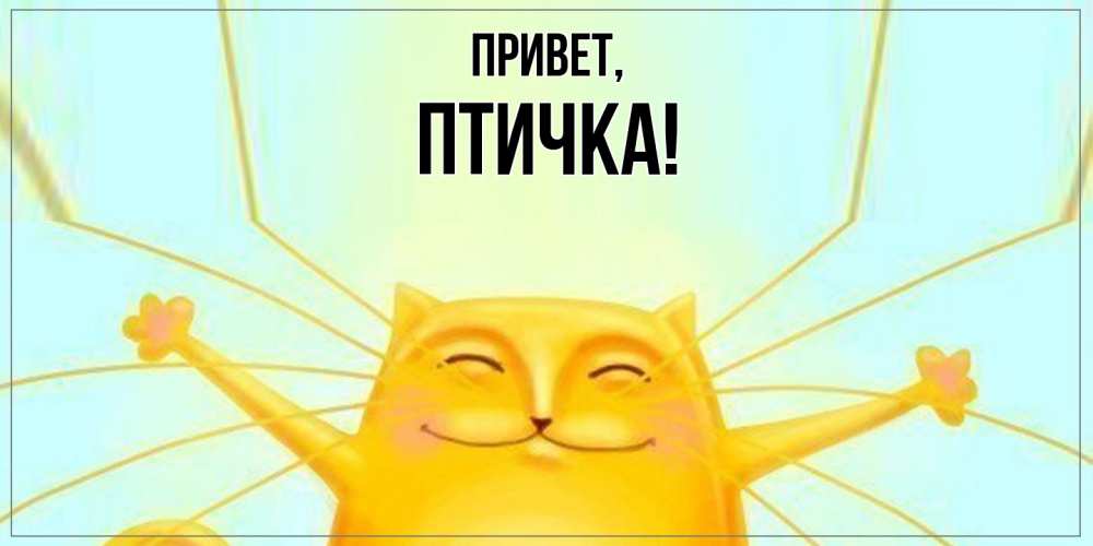 Картинка Привет, птичка