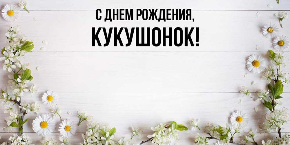 Картинка С днем рождения, кукушонок