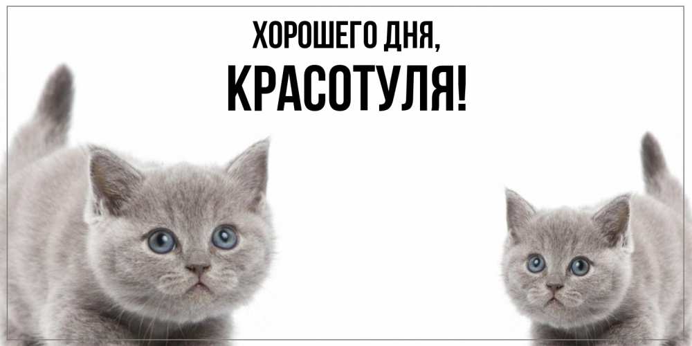 Открытка  для любимых и родных. красотуля, Хорошего дня  