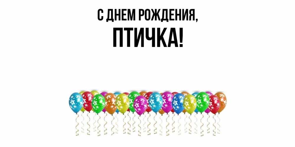 Картинка С днем рождения, птичка