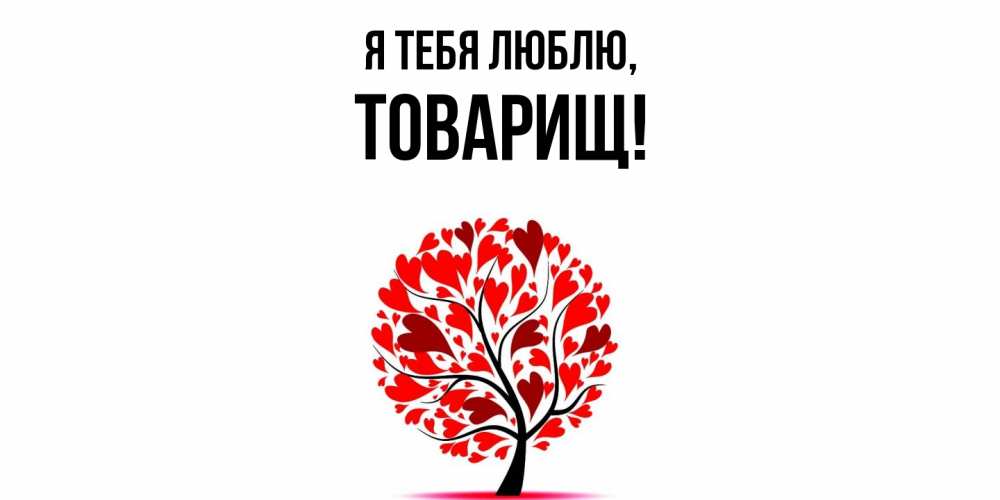 Картинка Я тебя люблю, Товарищ