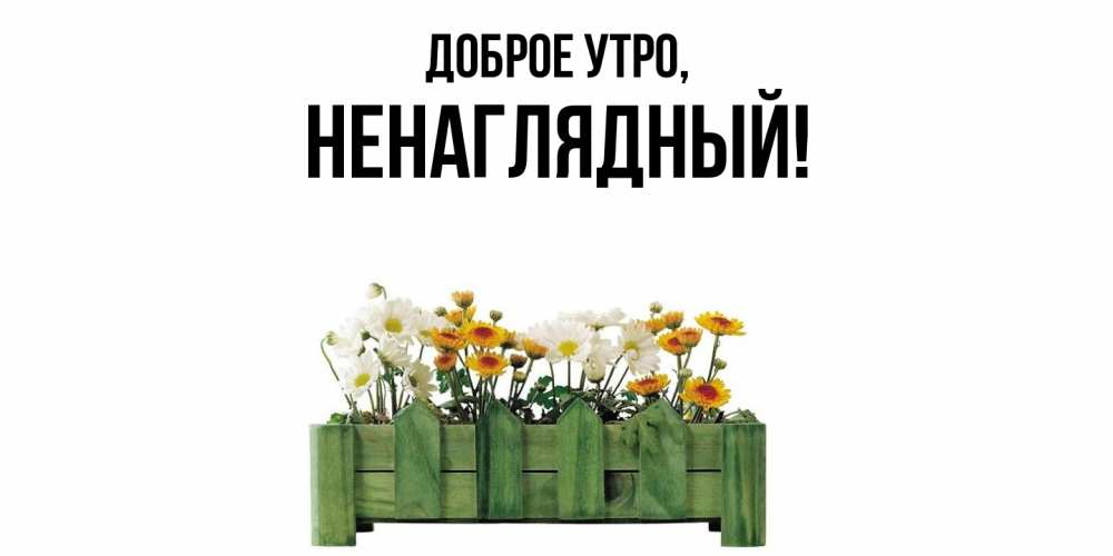 Картинка Доброе утро, ненаглядный
