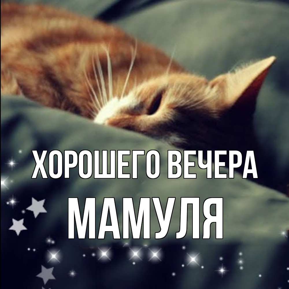 Открытка  для любимых и родных. Мамуля, Хорошего вечера  