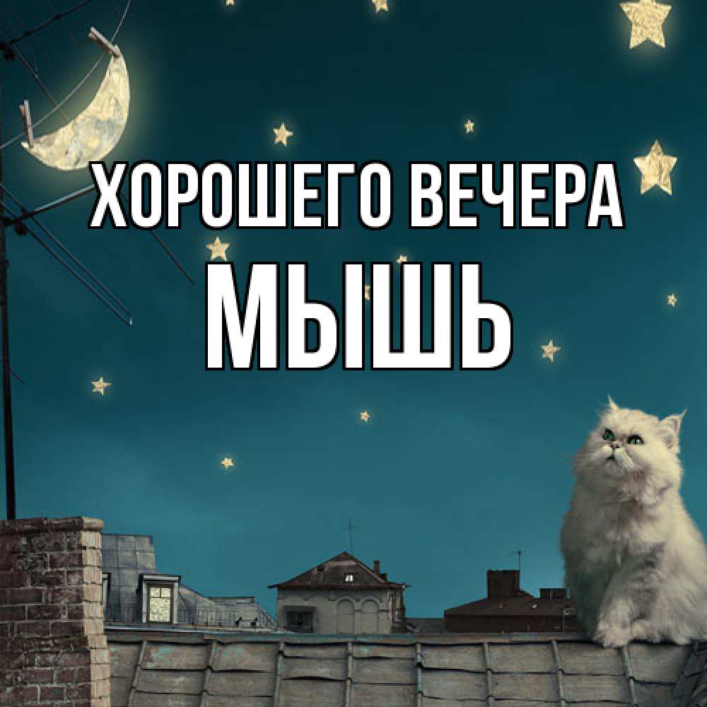 Картинка Хорошего вечера, мышь