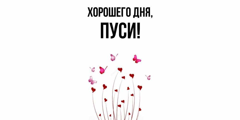Открытка  для любимых и родных. пуси, Хорошего дня  