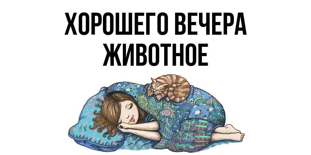 Картинка Хорошего вечера, животное
