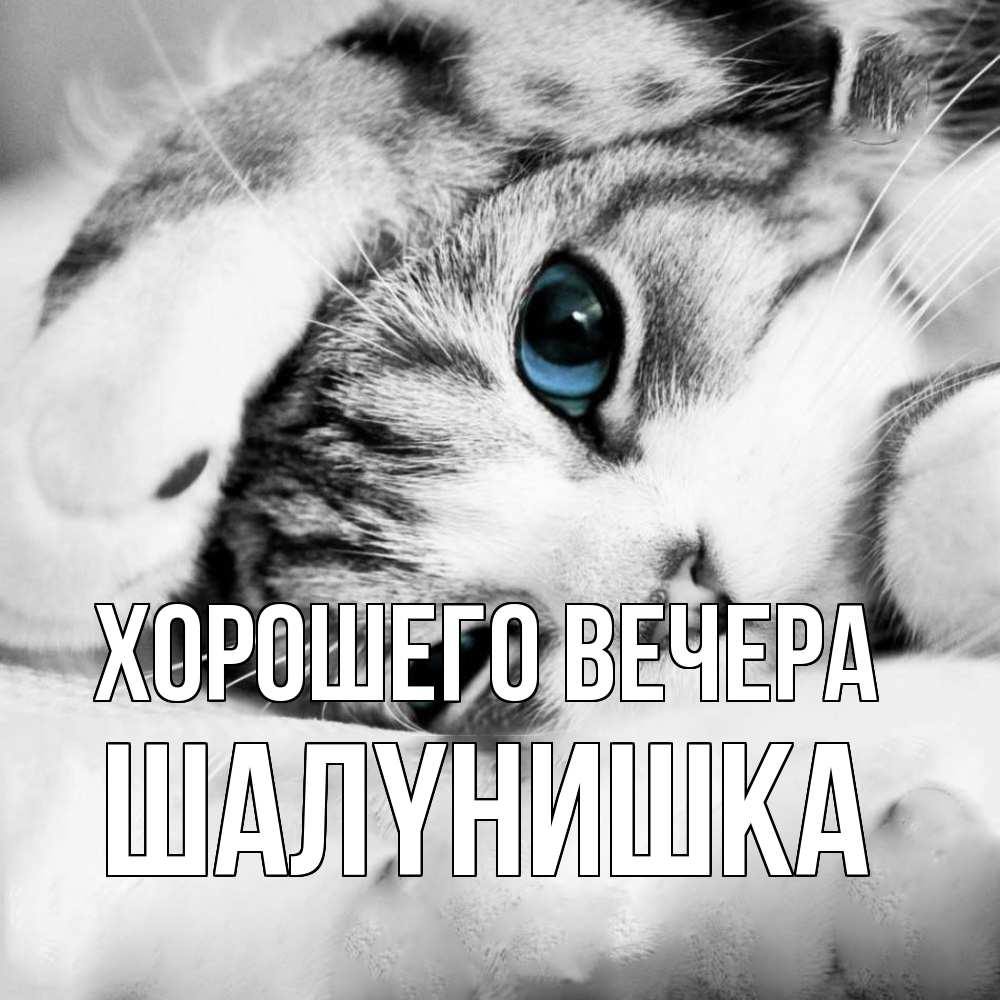 Картинка Хорошего вечера, шалyнишка