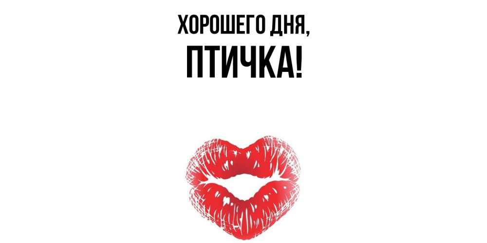 Картинка Хорошего дня, птичка
