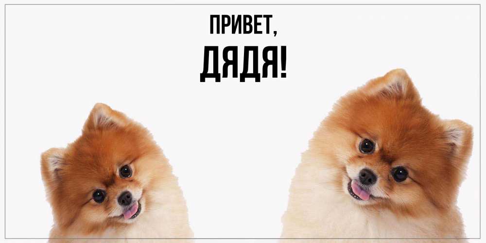 Открытка  для любимых и родных. Дядя, Привет  