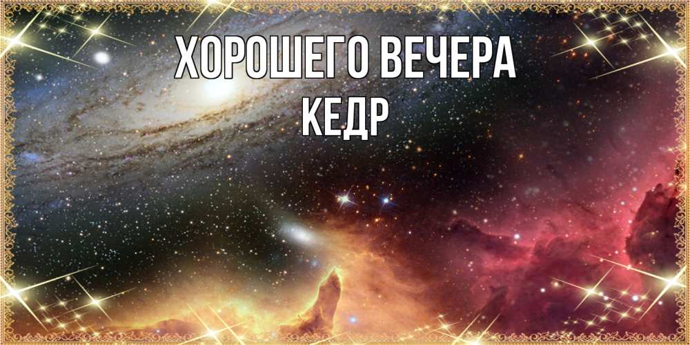 Картинка Хорошего вечера, кедр